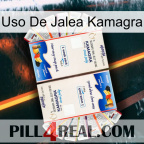 Kamagra Jelly Use kamagra1